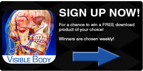 Visible Body, Anatomy News, Free Anatomy Content, 